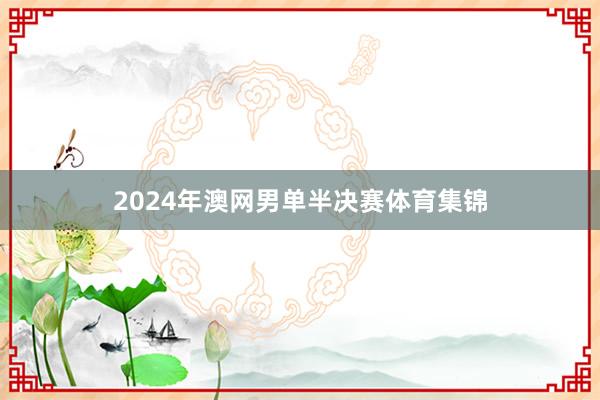 2024年澳网男单半决赛体育集锦