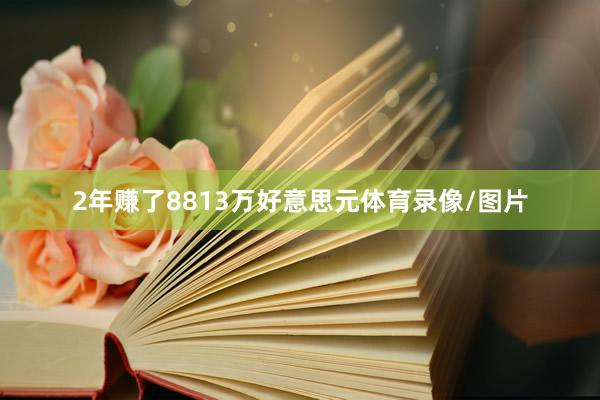 2年赚了8813万好意思元体育录像/图片