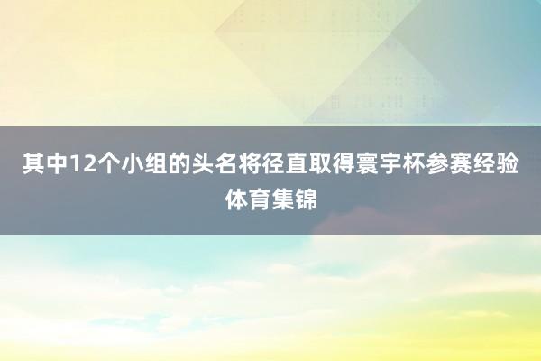 其中12个小组的头名将径直取得寰宇杯参赛经验体育集锦