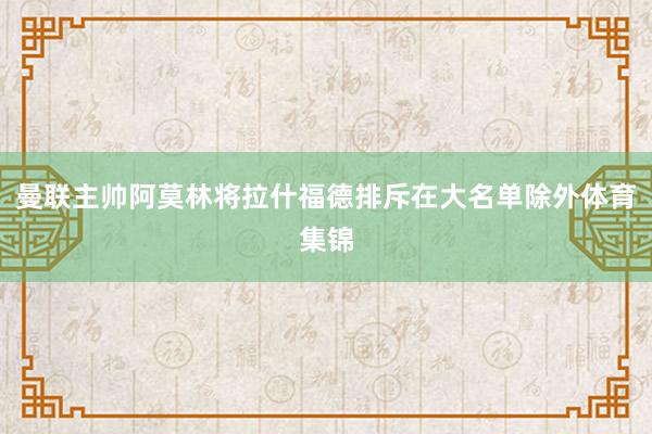 曼联主帅阿莫林将拉什福德排斥在大名单除外体育集锦