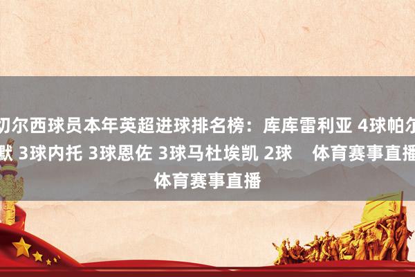 切尔西球员本年英超进球排名榜：库库雷利亚 4球帕尔默 3球内托 3球恩佐 3球马杜埃凯 2球    体育赛事直播